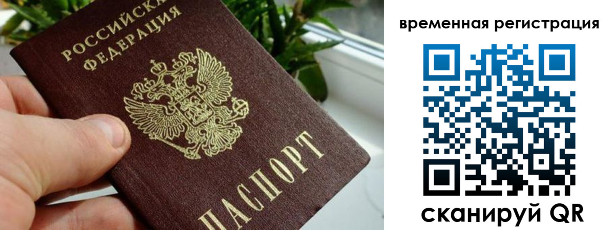 прописка поиск в Первоуральске